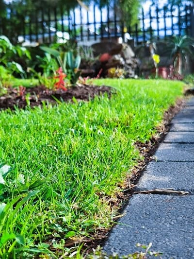 Home yard showing green lawn next to a driveway