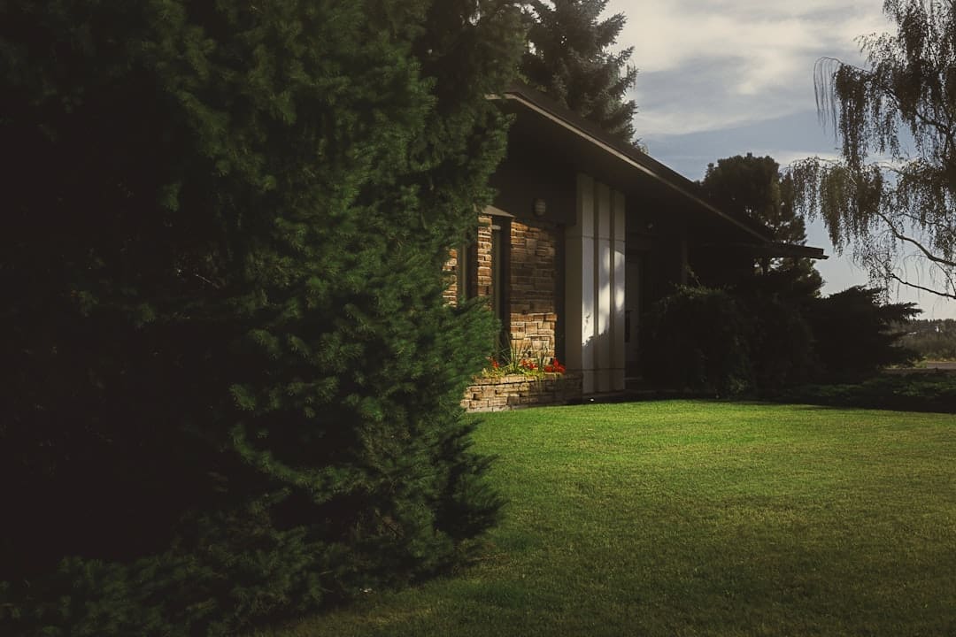 Front yard of a house behind a tree in the summer with shallow depth of field. 